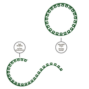 Lawn Border Set, Easy Border 50mm Green 10m with Pegs - Hardware > Fencing & Barriers > Garden Borders & Edging Garden tools & Accesories