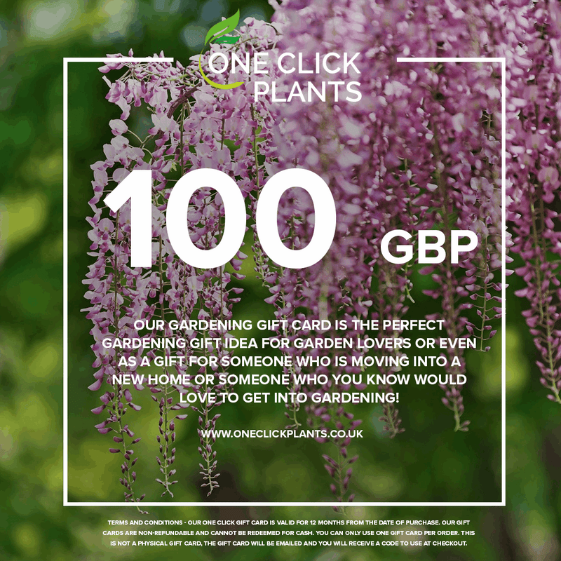 One Click Plants Gardening Gift Card from £25 to £300