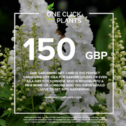 One Click Plants Gardening Gift Card from £25 to £300