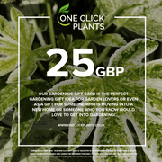 One Click Plants Gardening Gift Card from £25 to £300