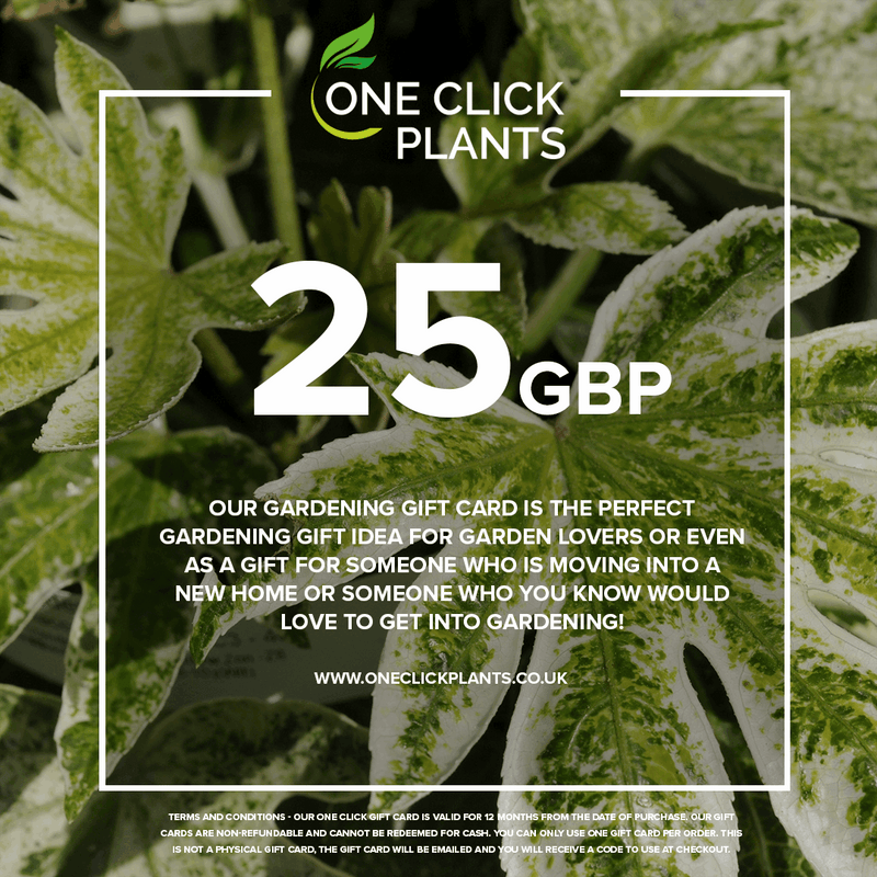 One Click Plants Gardening Gift Card from £25 to £300