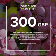 One Click Plants Gardening Gift Card from £25 to £300