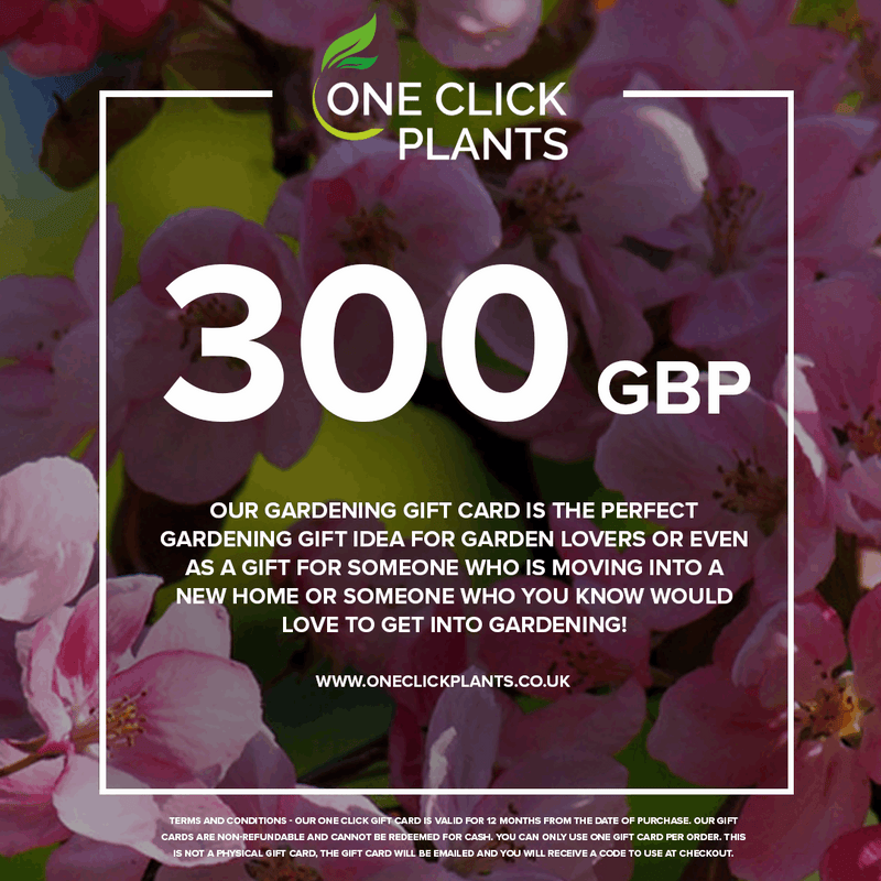 One Click Plants Gardening Gift Card from £25 to £300