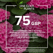 One Click Plants Gardening Gift Card from £25 to £300