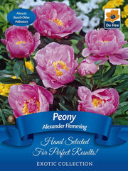 Peony 'Alexander Fleming' | Exotic Collection | 1 Bulb -