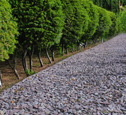 20mm Plum Slate Chippings - Home & Garden > Lawn & Garden > Gardening Chippings