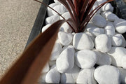 40-80mm Polar White Cobbles - Home & Garden > Lawn & Garden > Gardening Gravel