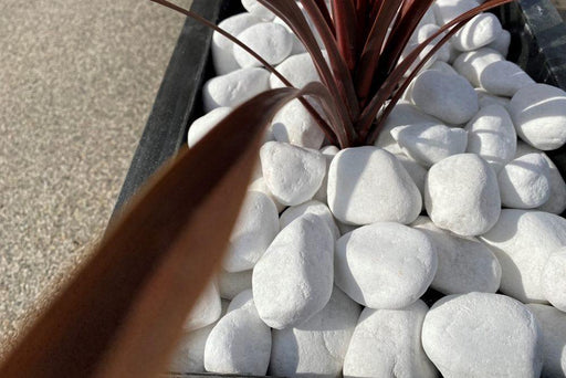 40-80mm Polar White Cobbles - Home & Garden > Lawn & Garden > Gardening Gravel