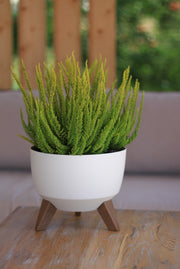 Roma Bowl Pot with Legs, Insert and Hole with Plug 240mm White - Home & Garden > Lawn & Garden > Gardening > Pots & Planters > Pots Planting