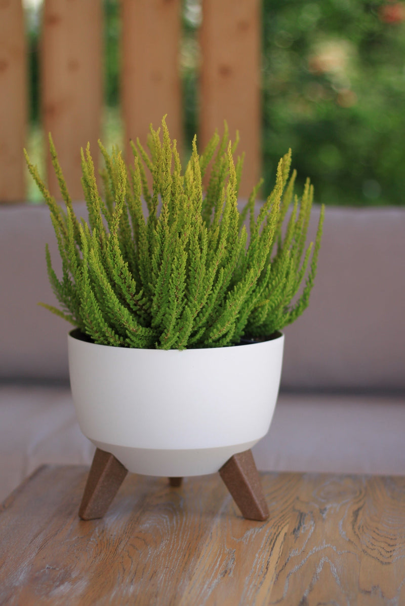 Roma Bowl Pot with Legs, Insert and Hole with Plug 240mm White - Home & Garden > Lawn & Garden > Gardening > Pots & Planters > Pots Planting