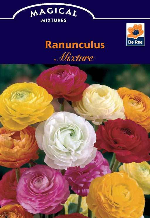 Ranunculus (10 Mixed Bulbs) -