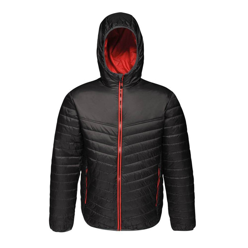 Regatta TRA420 Arcadia II Warmloft Down-Touch Jacket - JACKETS & COATS