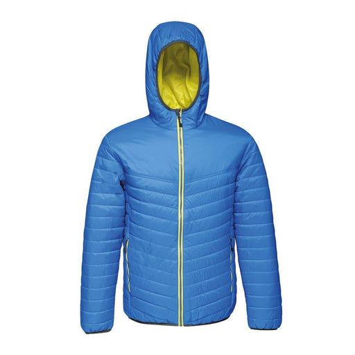 Regatta TRA420 Arcadia II Warmloft Down-Touch Jacket - JACKETS & COATS