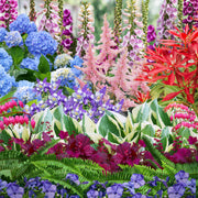 Our Hand Picked Selection of Shade Tolerant Plants -
