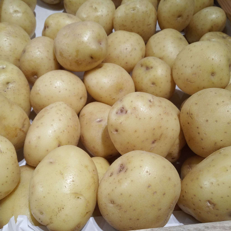 Nadine Seed Potatoes 2KG - Home & Garden > Plants > Seeds, Bulbs & Accessories > Seeds & Seed Tape > Seeds