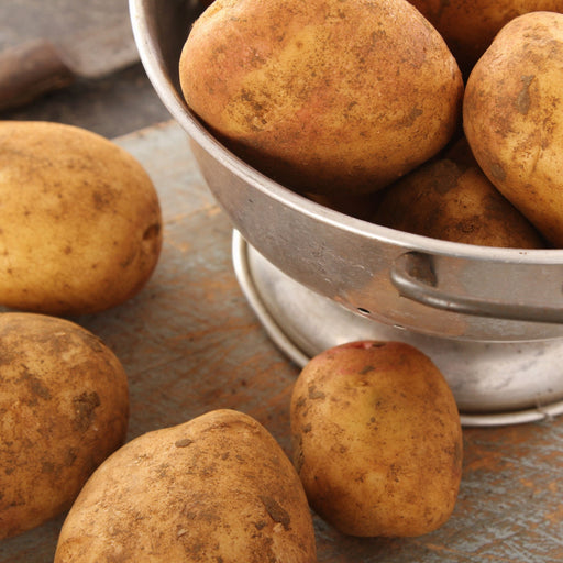 King Edward Seed Potatoes 2KG - Home & Garden > Plants > Seeds, Bulbs & Accessories > Seeds & Seed Tape > Seeds