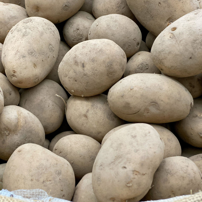 Maris Peer Seed Potatoes 2KG - Home & Garden > Plants > Seeds, Bulbs & Accessories > Seeds & Seed Tape > Seeds