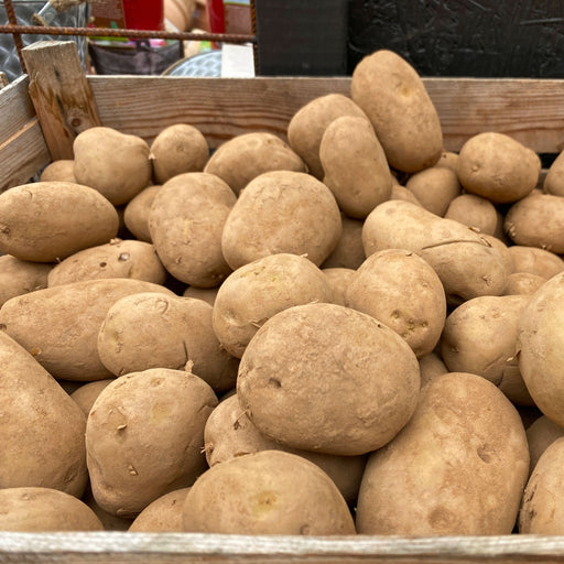 Lady Christl Seed Potatoes 2KG - Home & Garden > Plants > Seeds, Bulbs & Accessories > Seeds & Seed Tape > Seeds