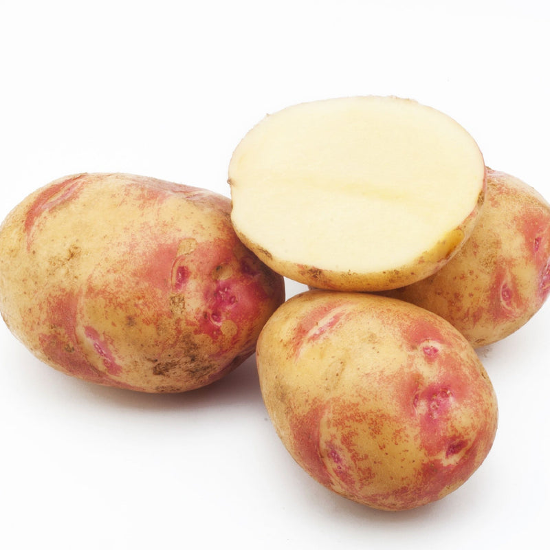 Picasso Seed Potatoes 2KG - Home & Garden > Plants > Seeds, Bulbs & Accessories > Seeds & Seed Tape > Seeds