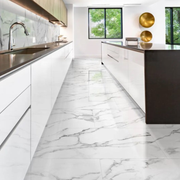 Ski White Cortina Polished 600mm x 600mm (4 per Box) -