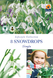 Snowdrops (8 Bulbs) -