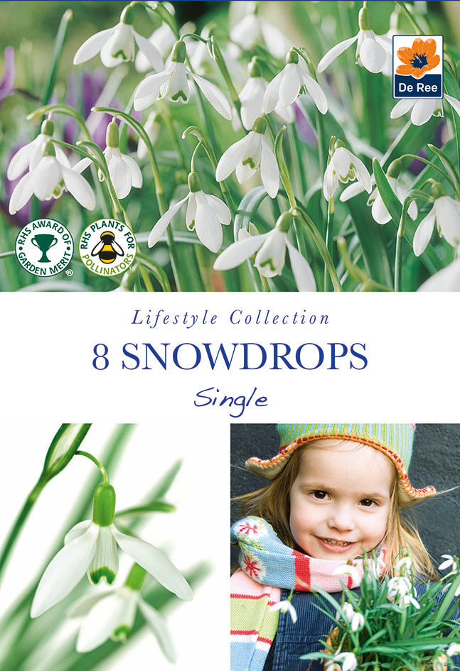Snowdrops (8 Bulbs) -