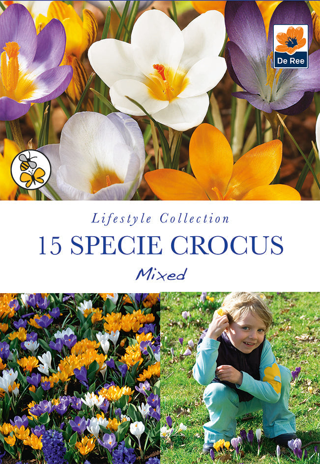 Specie Crocus Mixed (15 Bulbs) -