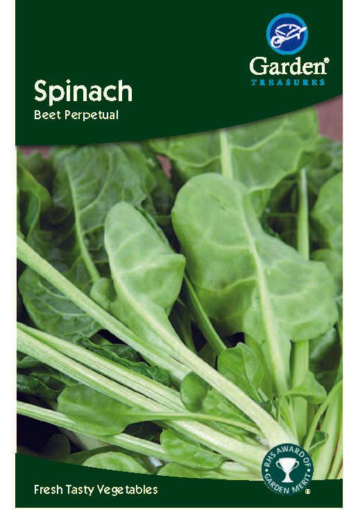 Spinach (Beet Perpetual) Seeds -