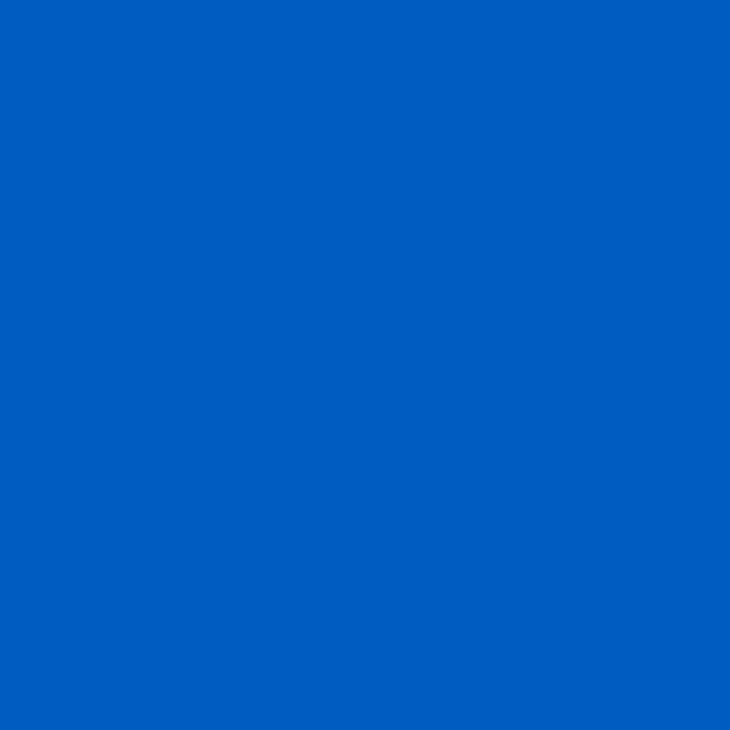 Bristol Blue - Wood Stain & Protect