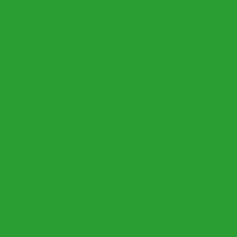 Grass Green - Wood Stain & Protect