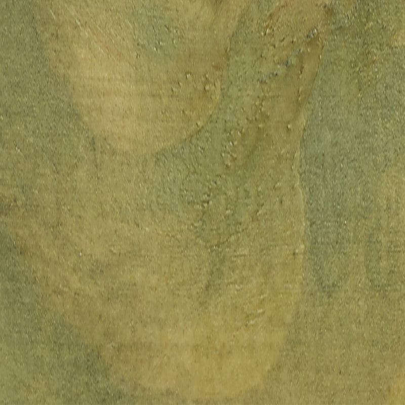 Light Green Decking Stain