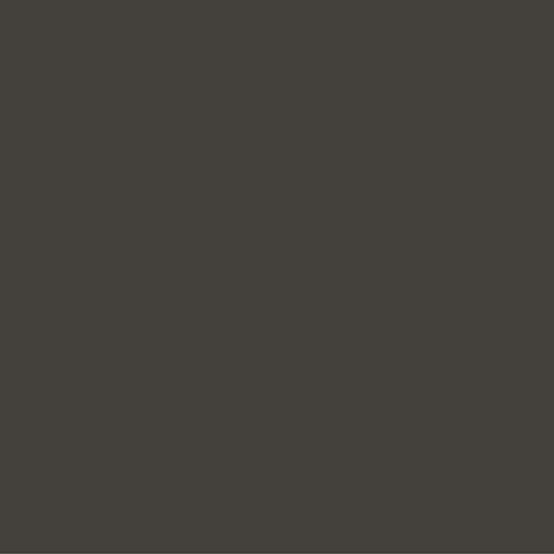 Anthracite Grey - Royal Exterior Paint