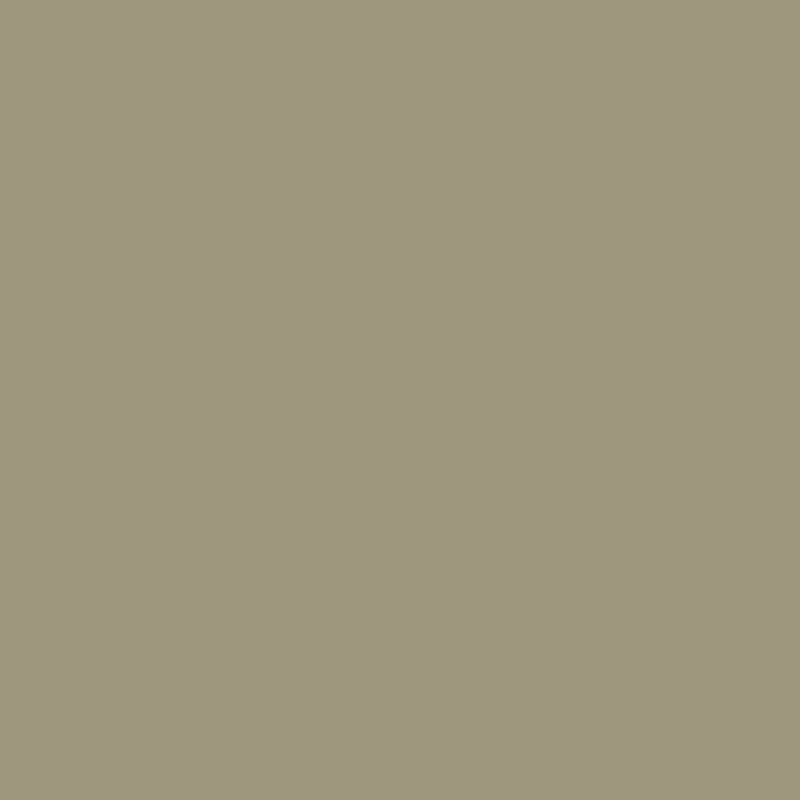 Mushroom - Royal Exterior Paint