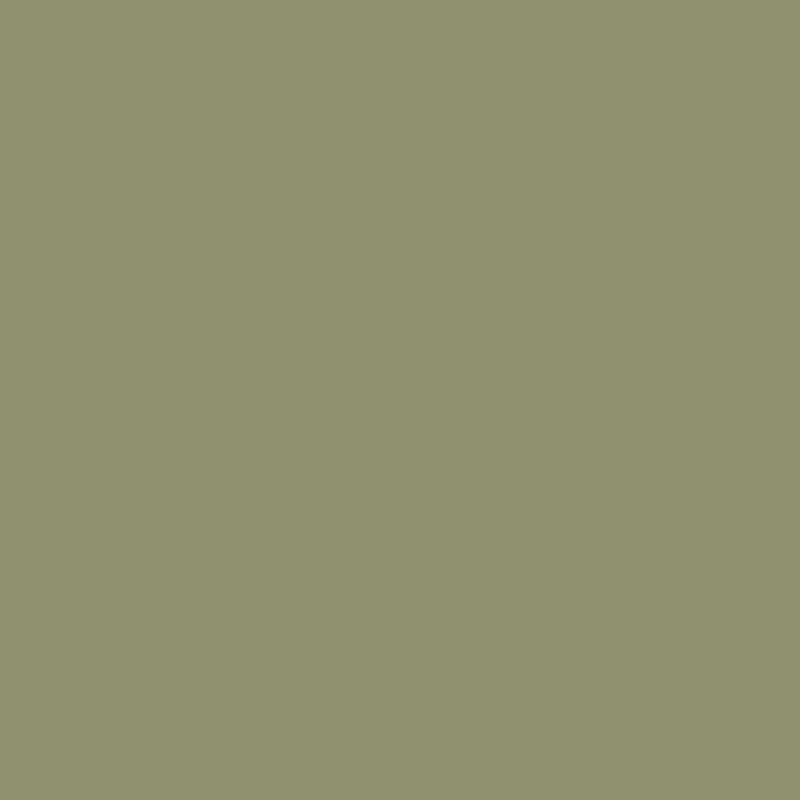 Olive Green - Royal Exterior Paint