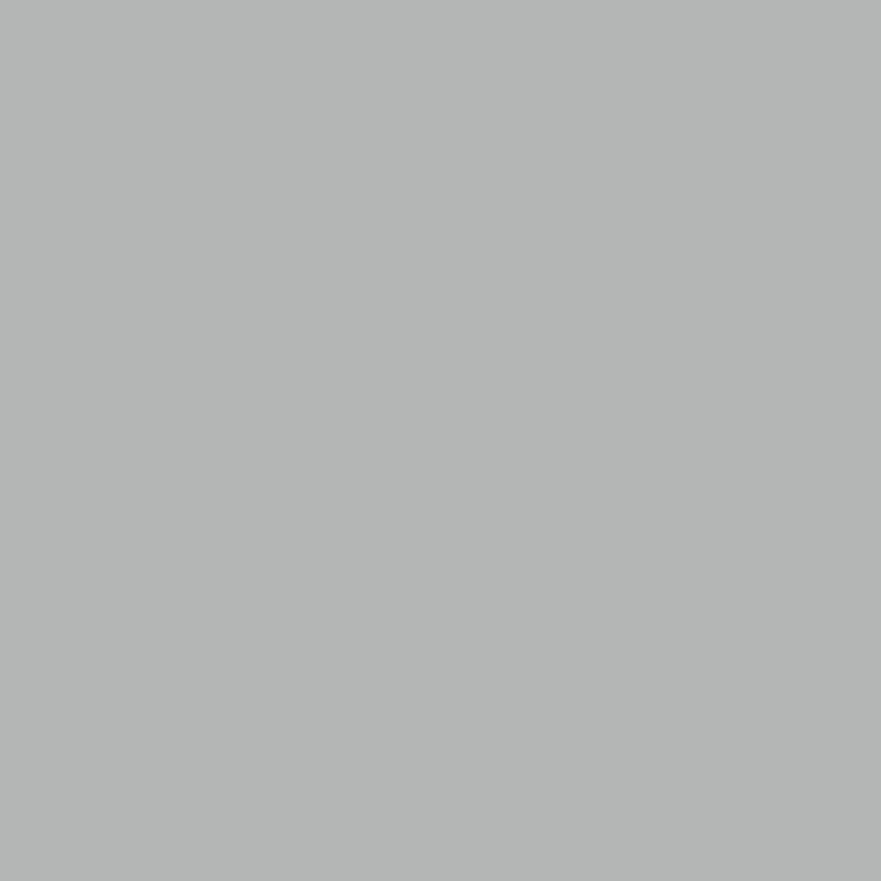 Silver Grey - Royal Interior Paint