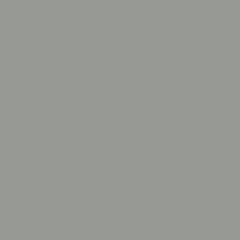 Smokey Grey - Royal Exterior Paint