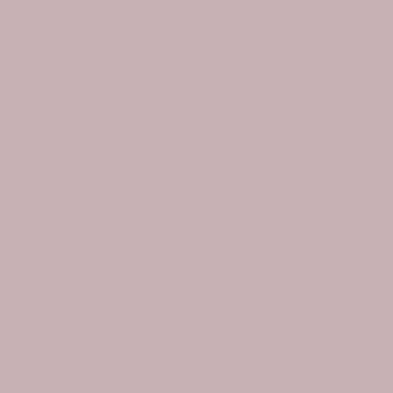 Winter Sky - Royal Exterior Paint