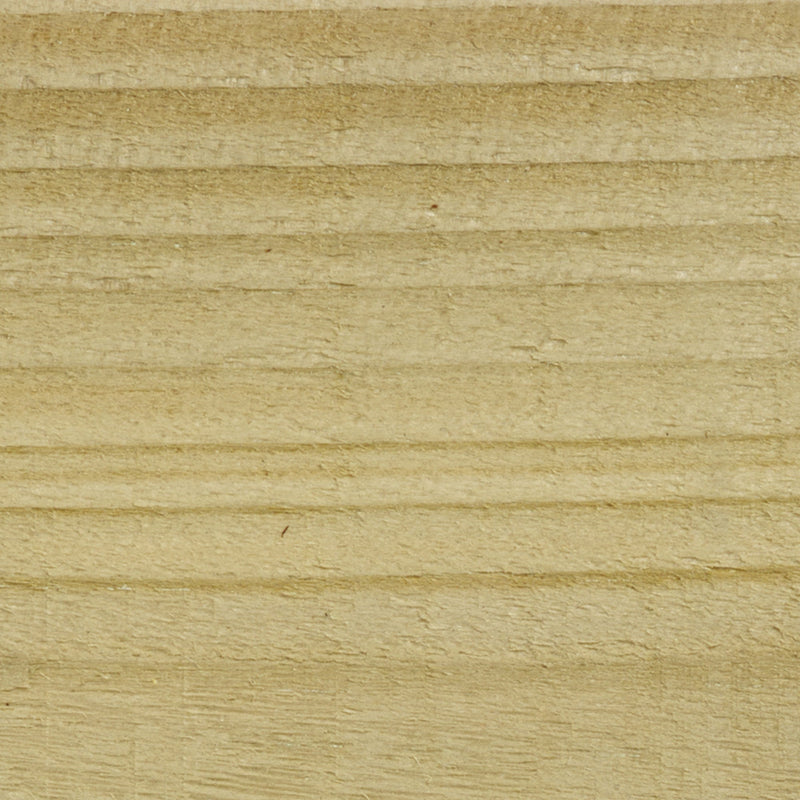 Clear - Stable Coat Paint