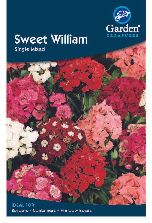 Sweet William - Single Mixed -