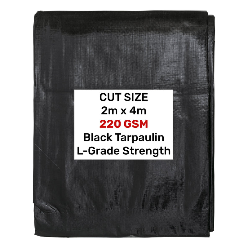 Black/Silver L-Grade Tarpaulin 2m x 4m - Hardware > Hardware Accessories > Tarps Tarpaulins
