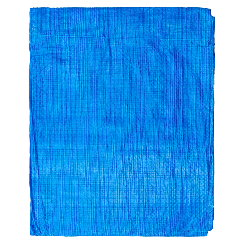Blue S-Grade Tarpaulin 1m x 1m - Hardware > Hardware Accessories > Tarps Tarpaulins