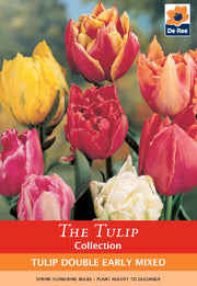 Tulip Double Early Mixed (4 Bulbs) -