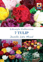 Tulip Double Late Mixed (5 Bulbs) -