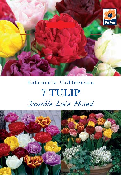Tulip Double Late Mixed (5 Bulbs) -