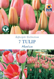 Tulip 'Menton' (5 Bulbs) -