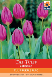 Tulip 'Purple Flag' (4 Bulbs) -