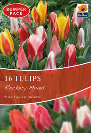 Tulip Dwarf Rockery Mixed Bulbs 12 Bulbs -