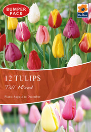 Tulips Tall Mixed (16 Bulbs) -