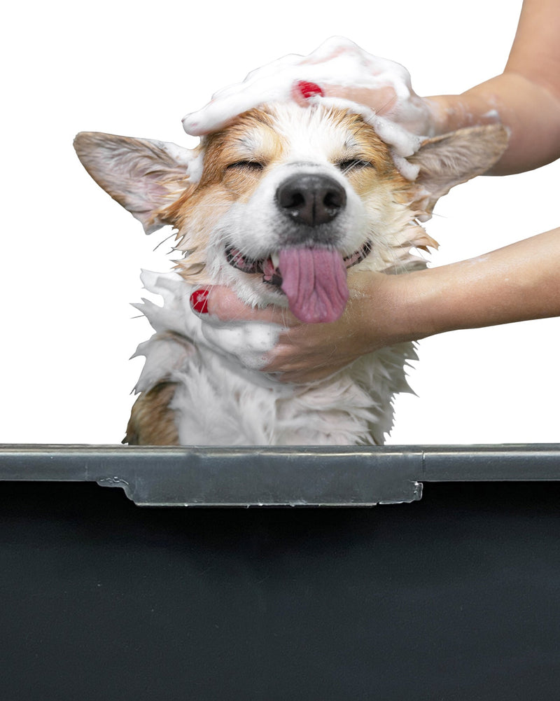 Versatile Large 90L Dog Bath/Pool/Tub - Suitable for Small to Large Breeds - with Drain Plug & Premium Connector - Perfect for medium and large dog breeds - Durable, Easy to Store - Animals & Pet Supplies > Pet Supplies > Pet Grooming Supplies