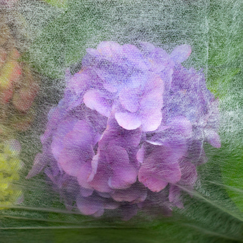 17g Non-Woven Frost Protect Fleece 3.2m x 5m - Home & Garden > Lawn & Garden > Gardening > Landscape Fabric Garden tools & Accesories